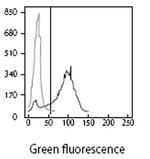 Platelet GMP-140 (P-selectin/CD62) Antibody in Flow Cytometry (Flow)