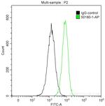 BCL10 Antibody in Flow Cytometry (Flow)
