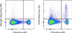 CD25 Antibody in Flow Cytometry (Flow)