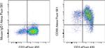 CD69 Monoclonal Antibody (FN50), Alexa Fluor™ 561, eBioscience™