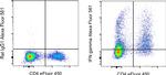 IFN gamma Monoclonal Antibody (XMG1.2), Alexa Fluor™ 561, eBioscience™