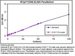 Human IR (Phospho) [pY1334] ELISA Kit