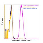 CD10 Monoclonal Antibody (SN5c), Alexa Fluor™ 647, eBioscience™
