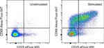 CD69 Antibody in Flow Cytometry (Flow)
