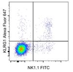 KLRG1 Monoclonal Antibody (2F1), Alexa Fluor™ 647, eBioscience™