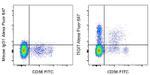 TIGIT Monoclonal Antibody (MBSA43), Alexa Fluor™ 647, eBioscience™