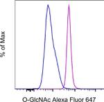 O-GlcNAc Monoclonal Antibody (RL2), Alexa Fluor™ 647, eBioscience™