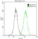 ERK1/2 Antibody in Flow Cytometry (Flow)