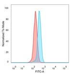 DDX41 Antibody in Flow Cytometry (Flow)