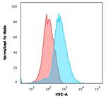 CD31/PECAM-1 (Endothelial Cell Marker) Antibody in Flow Cytometry (Flow)