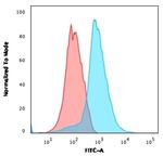 CD31/PECAM-1 (Endothelial Cell Marker) Antibody in Flow Cytometry (Flow)