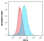 CD31/PECAM-1 (Endothelial Cell Marker) Antibody in Flow Cytometry (Flow)