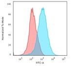 CD31/PECAM-1 (Endothelial Cell Marker) Antibody in Flow Cytometry (Flow)