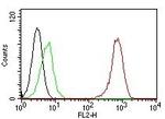 CD31/PECAM-1 (Endothelial Cell Marker) Antibody in Flow Cytometry (Flow)