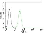 CD31/PECAM-1 (Endothelial Cell Marker) Antibody in Flow Cytometry (Flow)