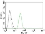 CD31/PECAM-1 (Endothelial Cell Marker) Antibody in Flow Cytometry (Flow)