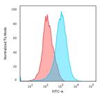 CD31/PECAM-1 (Endothelial Cell Marker) Antibody in Flow Cytometry (Flow)