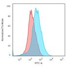 CD31/PECAM-1 (Endothelial Cell Marker) Antibody in Flow Cytometry (Flow)