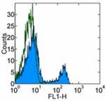 CD4 Monoclonal Antibody (GK1.5), Alexa Fluor™ 488, eBioscience™