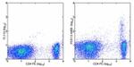 CD25 Monoclonal Antibody (PC61.5), Alexa Fluor™ 488, eBioscience™