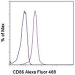 CD86 (B7-2) Monoclonal Antibody (IT2.2), Alexa Fluor™ 488, eBioscience™