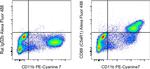 CD88 (C5aR1) Monoclonal Antibody (20/70), Alexa Fluor™ 488, eBioscience™
