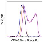 CD106 (VCAM-1) Monoclonal Antibody (STA), Alexa Fluor™ 488, eBioscience™