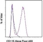 CD115 (c-fms) Monoclonal Antibody (AFS98), Alexa Fluor™ 488, eBioscience™