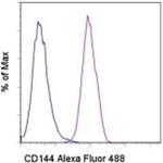 CD144 (VE-cadherin) Monoclonal Antibody (16B1), Alexa Fluor™ 488, eBioscience™