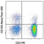 CD160 Monoclonal Antibody (BY55), Alexa Fluor™ 488, eBioscience™