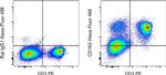 CD162 (PSGL-1) Monoclonal Antibody (4RA10), Alexa Fluor™ 488, eBioscience™