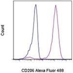 CD206 (MMR) Monoclonal Antibody (19.2), Alexa Fluor™ 488, eBioscience™