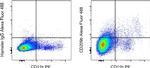 CD209b (SIGN-R1) Monoclonal Antibody (eBio22D1 (22D1)), Alexa Fluor™ 488, eBioscience™