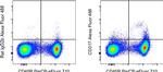 CD317 (BST2, PDCA-1) Monoclonal Antibody (eBio129c (129c)), Alexa Fluor™ 488, eBioscience™
