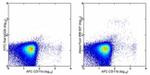 CD317 (BST2, PDCA-1) Monoclonal Antibody (eBio927), Alexa Fluor™ 488, eBioscience™
