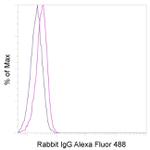Rabbit IgG Recombinant Isotype Control (RbNP15), Alexa Fluor™ 488, eBioscience™