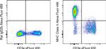 MHC Class II (I-A/I-E) Antibody in Flow Cytometry (Flow)