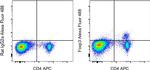 FOXP3 Monoclonal Antibody (FJK-16s), Alexa Fluor™ 488, eBioscience™