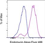 Endomucin Monoclonal Antibody (eBioV.7C7 (V.7C7)), Alexa Fluor™ 488, eBioscience™