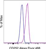 CD252 (OX40 Ligand) Monoclonal Antibody (RM134L), Alexa Fluor™ 488, eBioscience™
