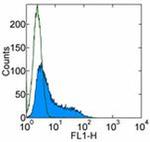 IL-10 Monoclonal Antibody (JES5-16E3), Alexa Fluor™ 488, eBioscience™