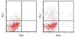 IL-17A Antibody in Flow Cytometry (Flow)