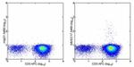 IL-17A Monoclonal Antibody (eBio64DEC17), Alexa Fluor™ 488, eBioscience™