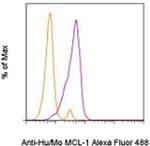 MCL-1 Monoclonal Antibody (LVUBKM), Alexa Fluor™ 488, eBioscience™