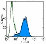 CD284 (TLR4) Monoclonal Antibody (HTA125), Alexa Fluor™ 488, eBioscience™