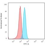 BOB.1 Antibody in Flow Cytometry (Flow)