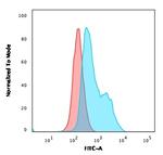 BOB.1 Antibody in Flow Cytometry (Flow)
