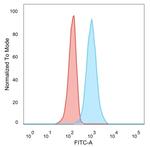 ZNF562 (Transcription Regulator) Antibody in Flow Cytometry (Flow)