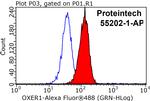 OXER1 Antibody in Flow Cytometry (Flow)