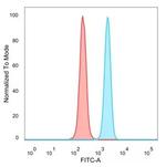 BATF3 Monoclonal Antibody (PCRP-BATF3-1E5)